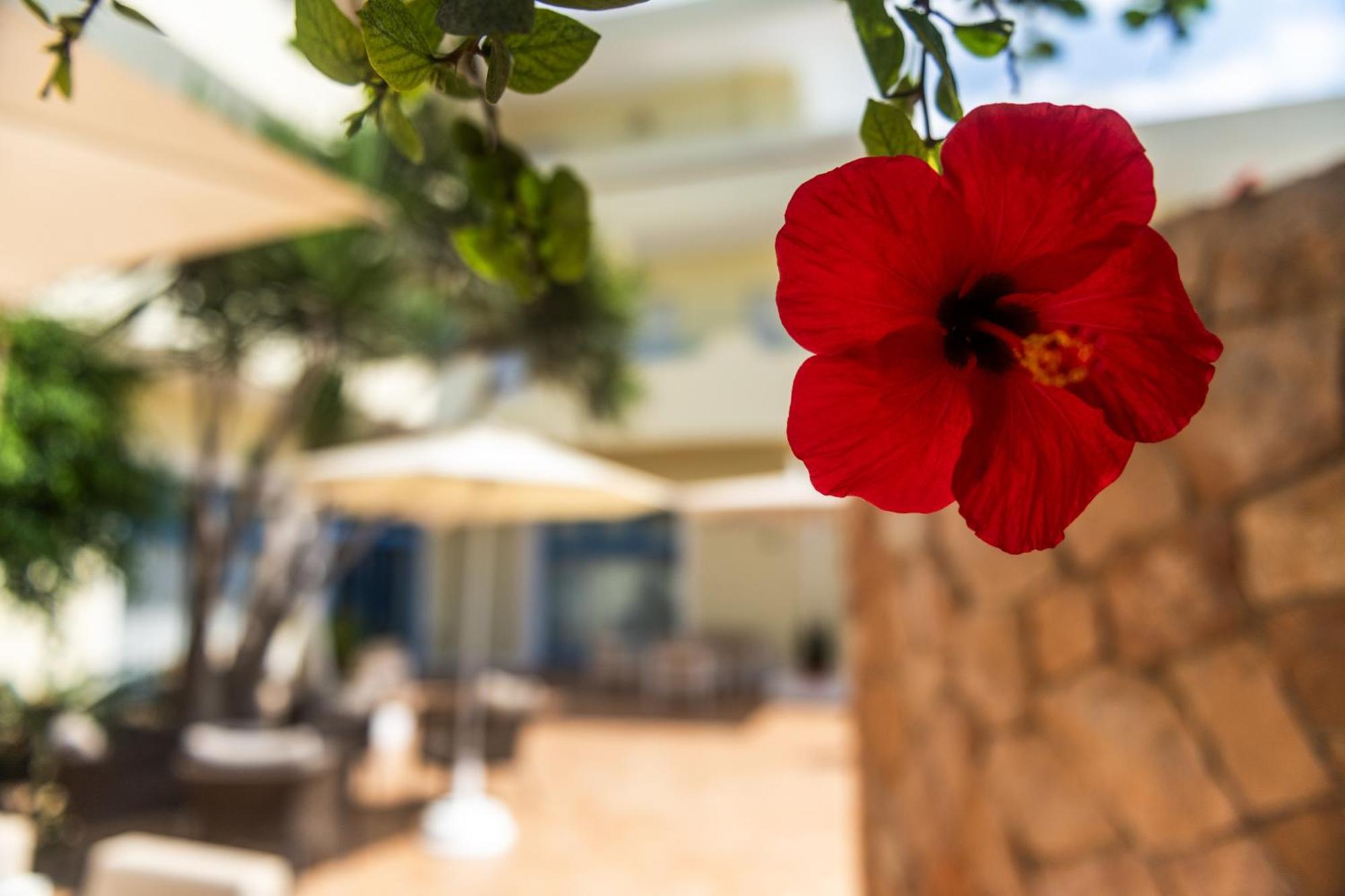 Hotel Baia Turchese 람페두사 외부 사진